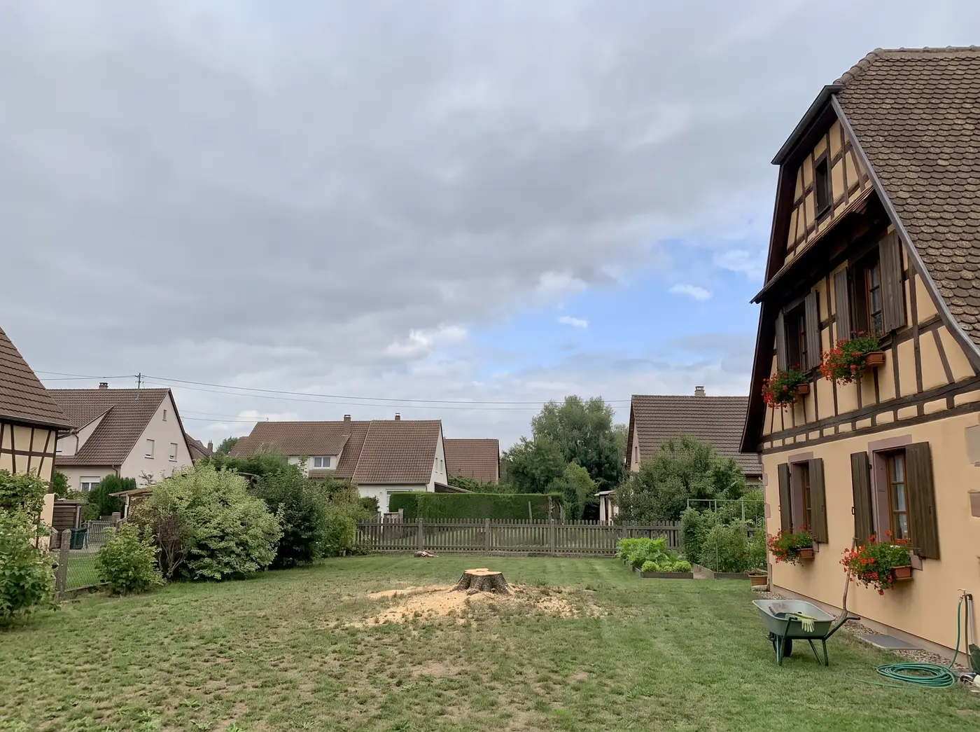 Après : Abattage d'un arbre devenu dangereux