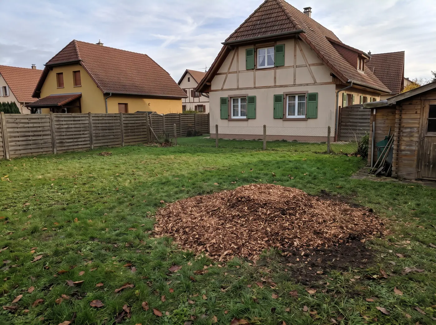 Après : Dessouchage par rognage